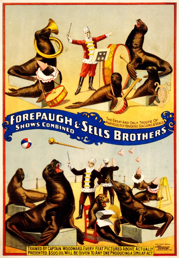 Forepaugh Sells Brothers 1899 by VINTAGE POSTER
